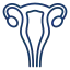 Gynecology