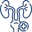 Urology